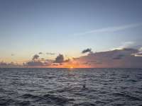 Great day of scuba diving in Key Largo with Rainbow Reef on crf nursery tropical legend 2025 08 12 r18624 1