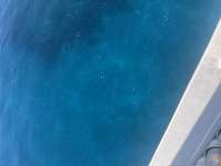 Great day of scuba diving in Key Largo with Rainbow Reef on french reef tropical destiny 2025 08 25 r18712 1