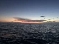 Great day of scuba diving in Key Largo with Rainbow Reef on jjs cave tropical legend 2025 08 02 r18561 1
