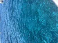 Great day of scuba diving in Key Largo with Rainbow Reef on logans run tropical destiny 2025 08 02 r18557 1