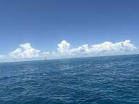 Great day of scuba diving in Key Largo with Rainbow Reef on logans run tropical odyssey 2025 08 17 r18677 1