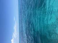 Great day of scuba diving in Key Largo with Rainbow Reef on minnow cave tropical destiny 2025 08 01 r18542 1