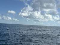 Great day of scuba diving in Key Largo with Rainbow Reef on nine channel tropical legend 2025 08 02 r18547 1
