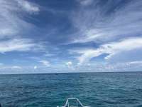 Great day of scuba diving in Key Largo with Rainbow Reef on sand island tropical adventure 2025 08 16 r18669 1