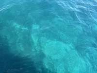 Great day of scuba diving in Key Largo with Rainbow Reef on snapper ledge tropical odyssey 2025 08 26 r18718 1