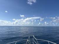 Great day of scuba diving in Key Largo with Rainbow Reef on special event tropical adventure 2025 08 14 r18651 1