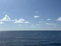 Great day of scuba diving in Key Largo with Rainbow Reef on special event tropical adventure 2025 08 15 r18662 1