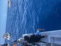 Great day of scuba diving in Key Largo with Rainbow Reef on spiegel grove tropical destiny 2025 08 02 r18553 1