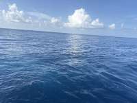 Great day of scuba diving in Key Largo with Rainbow Reef on spiegel grove tropical legend 2025 08 05 r18572 1