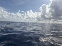 Great day of scuba diving in Key Largo with Rainbow Reef on spiegel grove tropical legend 2025 08 06 r18578 1