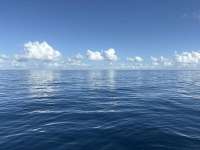 Great day of scuba diving in Key Largo with Rainbow Reef on spiegel grove tropical odyssey 2025 08 17 r18674 1
