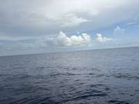 Great day of scuba diving in Key Largo with Rainbow Reef on spiegel grove tropical odyssey 2025 08 24 r18709 1