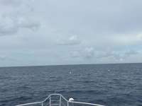 Great day of scuba diving in Key Largo with Rainbow Reef on spiegel grove tropical odyssey 2025 08 31 r18747 1