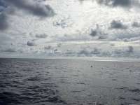 Great day of scuba diving in Key Largo with Rainbow Reef on uscgc duane tropical odyssey 2025 08 10 r18603 1