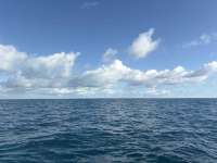 Great day of scuba diving in Key Largo with Rainbow Reef on benwood wreck tropical legend 2025 12 07 r19289 1