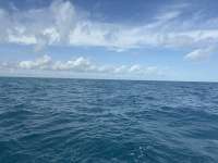 Great day of scuba diving in Key Largo with Rainbow Reef on benwood wreck tropical serenity 2025 12 02 r19272 1