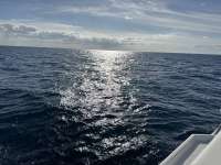Great day of scuba diving in Key Largo with Rainbow Reef on benwood wreck tropical serenity 2025 12 12 r19305 1