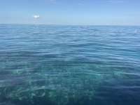 Great day of scuba diving in Key Largo with Rainbow Reef on christ statue tropical odyssey 2025 12 27 r19354 1