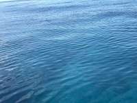 Great day of scuba diving in Key Largo with Rainbow Reef on city of washington tropical serenity 2025 12 14 r19317 1