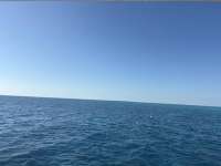 Great day of scuba diving in Key Largo with Rainbow Reef on coral canyons tropical legend 2025 12 26 r19348 1