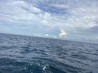 Great day of scuba diving in Key Largo with Rainbow Reef on coral canyons tropical odyssey 2025 12 08 r19294 1