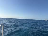 Great day of scuba diving in Key Largo with Rainbow Reef on donut hole tropical serenity 2025 12 20 r19325 1
