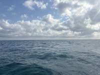 Great day of scuba diving in Key Largo with Rainbow Reef on five caves tropical serenity 2025 12 20 r19327 1