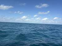 Great day of scuba diving in Key Largo with Rainbow Reef on hourglass tropical serenity 2025 12 05 r19282 1