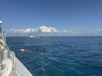 Great day of scuba diving in Key Largo with Rainbow Reef on jjs cave tropical odyssey 2025 12 28 r19359 1