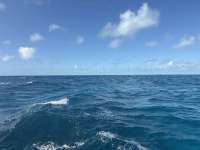 Great day of scuba diving in Key Largo with Rainbow Reef on jjs cave tropical serenity 2025 12 02 r19271 1