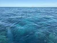 Great day of scuba diving in Key Largo with Rainbow Reef on molasses reef tropical legend 2025 12 06 r19285 1