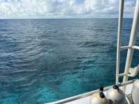 Great day of scuba diving in Key Largo with Rainbow Reef on molasses reef tropical legend 2025 12 06 r19287 1