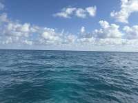 Great day of scuba diving in Key Largo with Rainbow Reef on pickles reef tropical destiny 2025 12 21 r19335 1