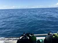 Great day of scuba diving in Key Largo with Rainbow Reef on spiegel grove tropical odyssey 2025 12 07 r19291 1