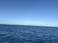 Great day of scuba diving in Key Largo with Rainbow Reef on spiegel grove tropical odyssey 2025 12 08 r19293 1