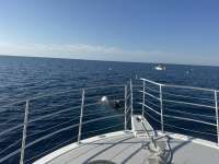 Great day of scuba diving in Key Largo with Rainbow Reef on spiegel grove tropical odyssey 2025 12 28 r19356 1