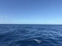 Great day of scuba diving in Key Largo with Rainbow Reef on uscgc duane tropical odyssey 2025 12 01 r19269 1