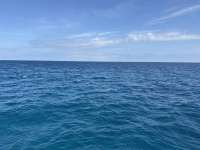 Great day of scuba diving in Key Largo with Rainbow Reef on benwood wreck tropical odyssey 2025 02 17 r17549 1