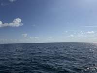 Great day of scuba diving in Key Largo with Rainbow Reef on benwood wreck tropical odyssey 2025 02 18 r17557 1