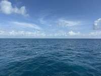 Great day of scuba diving in Key Largo with Rainbow Reef on benwood wreck tropical odyssey 2025 02 18 r17557 2