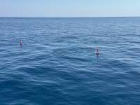 Great day of scuba diving in Key Largo with Rainbow Reef on dad public tropical serenity 2025 02 28 r17624 1
