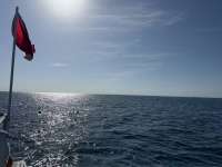 Great day of scuba diving in Key Largo with Rainbow Reef on donut hole tropical odyssey 2025 02 17 r17551 1