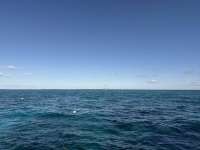 Great day of scuba diving in Key Largo with Rainbow Reef on hole in the wall tropical serenity 2025 02 27 r17616 1