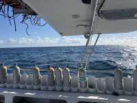 Great day of scuba diving in Key Largo with Rainbow Reef on nine channel tropical serenity 2025 02 19 r17568 1