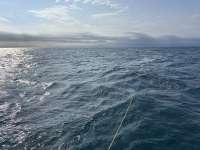 Great day of scuba diving in Key Largo with Rainbow Reef on nine channel tropical serenity 2025 02 20 r17576 1