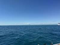 Great day of scuba diving in Key Largo with Rainbow Reef on nine channel tropical serenity 2025 02 26 r17612 1