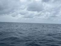 Great day of scuba diving in Key Largo with Rainbow Reef on permit ledges tropical serenity 2025 02 24 r17596 1