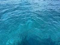 Great day of scuba diving in Key Largo with Rainbow Reef on snapper ledge tropical odyssey 2025 02 18 r17559 1