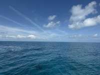 Great day of scuba diving in Key Largo with Rainbow Reef on snapper ledge tropical odyssey 2025 02 18 r17560 2