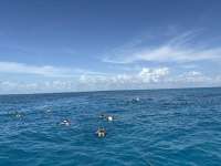 Great day of scuba diving in Key Largo with Rainbow Reef on special event tropical destiny 2025 02 18 r17562 1